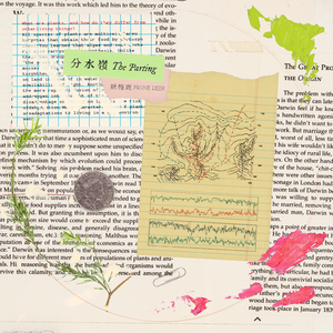 尼泊尔妓女69XXXHD
