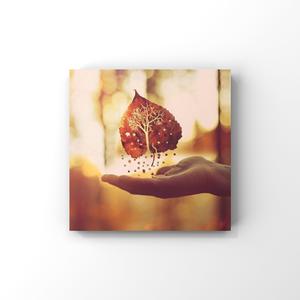 一级裸聊免费在线
